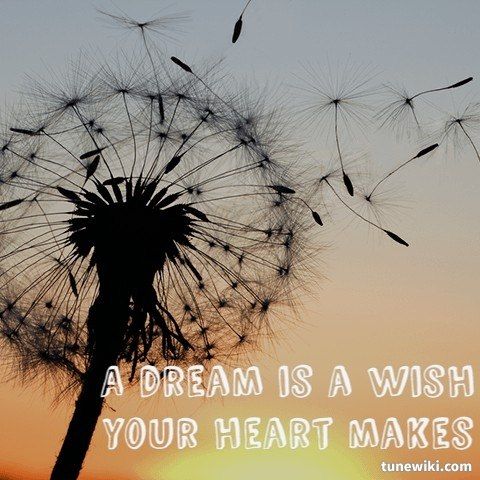 I Quit My Job to Follow My Dreams