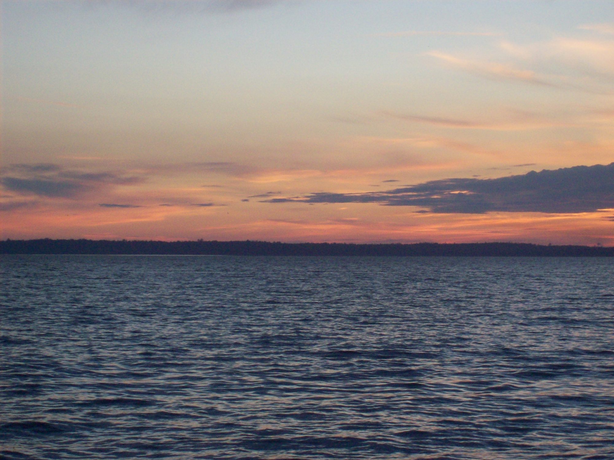 What I Love About My Little City | Bellingham, WA