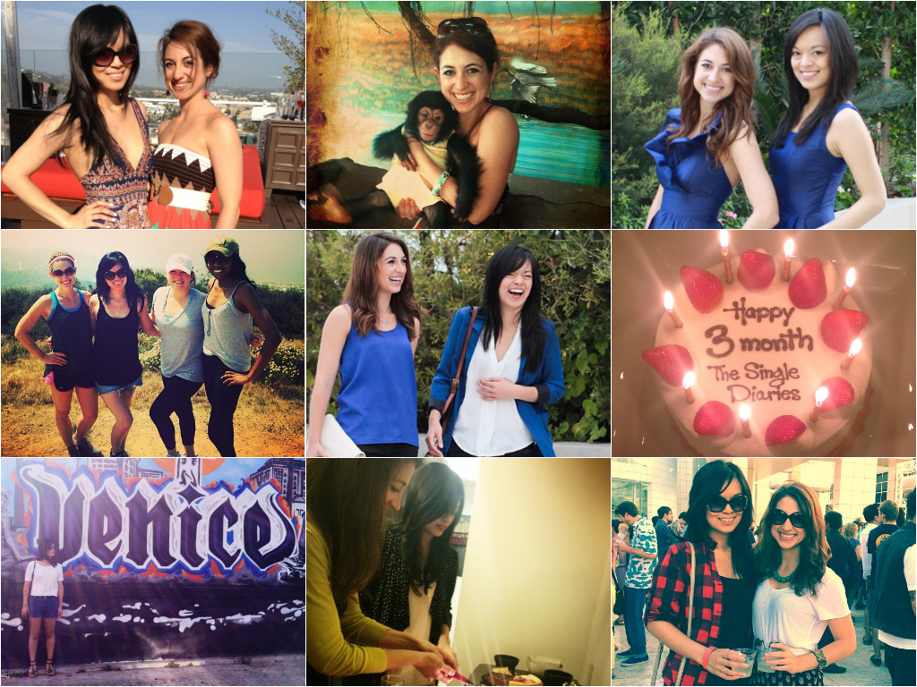 Our Year (and a half) with The Single Diaries